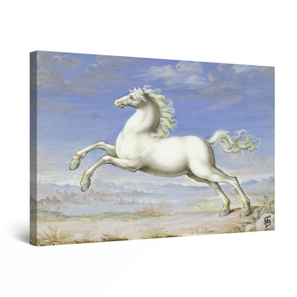 Canvas Wall Art - Pure White Horse For Children Room
