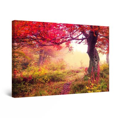 Canvas Wall Art - Fairy Landcape in Red Forest