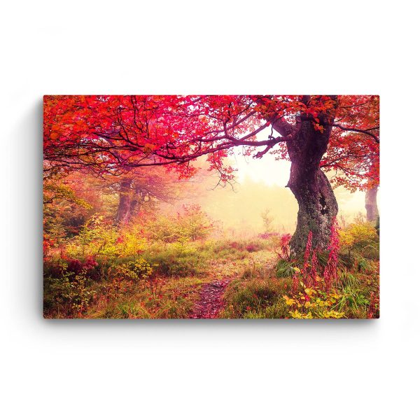 Canvas Wall Art - Fairy Landcape in Red Forest
