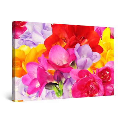 Canvas Wall Art - Abstract - Happy Colors Flowers Petals Red and Yellow