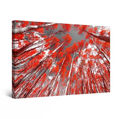Canvas Wall Art - Surreal Forest Red Trees Landscape