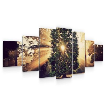 Huge Canvas Wall Art - Sunlight Rays Through Trees Set of 7 Panels