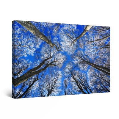 Canvas Wall Art - Psychedelic Blue Decor Trees in Forest