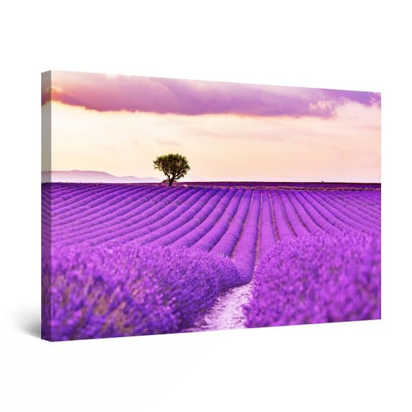 Canvas Wall Art - Abstract - Tree at the End of the Lavender Field