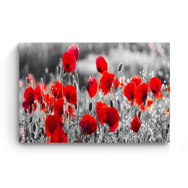Canvas Wall Art - Macro Photo Red Poppies Flowers