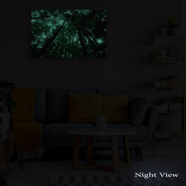 Canvas Wall Art - Multi Color Forest Trees and Lights