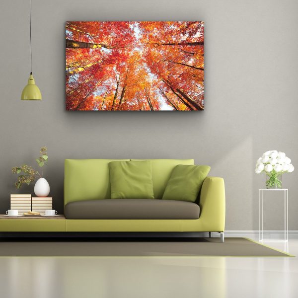 Canvas Wall Art - Red Trees Nature Up in the Sky in the Forest