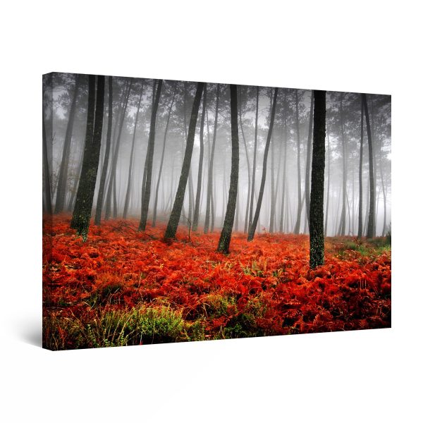 Canvas Wall Art - Red Forest Fog Landscape