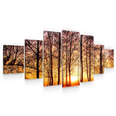 Large Canvas Wall Art - Warm Sunrise Through Tree Branches Set of 7 Panels