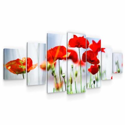 Large Canvas Wall Art - Red Passionate Poppies Set of 7 Panels