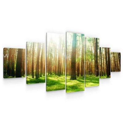 Large Canvas Wall Art - Spring in The Woods Set of 7 Panels