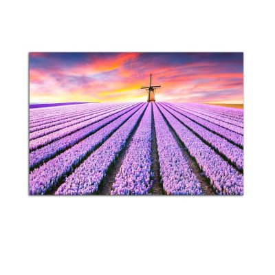Plexiglass Wall Art - Lavender Field at Sunrise Decor  60 x 90 CM
