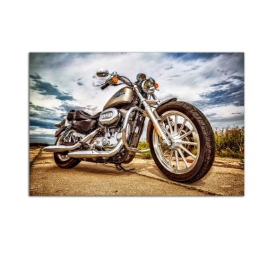 Plexiglass Wall Art - Harley Davidson Decor  60 x 90 CM