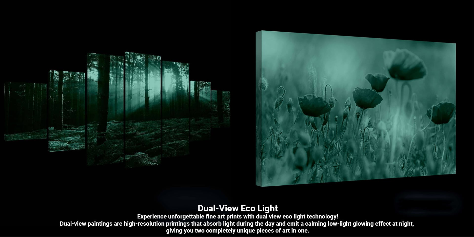 Dual-View Eco Light