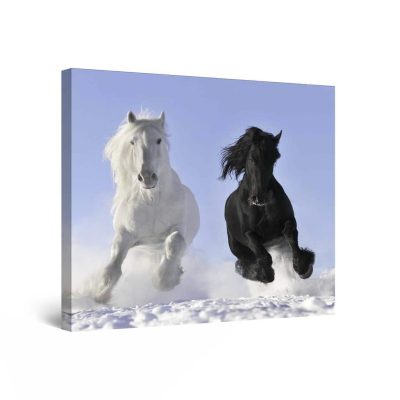 Canvas Wall Art - Horses Faces Off Black and White 80 x 80 cm