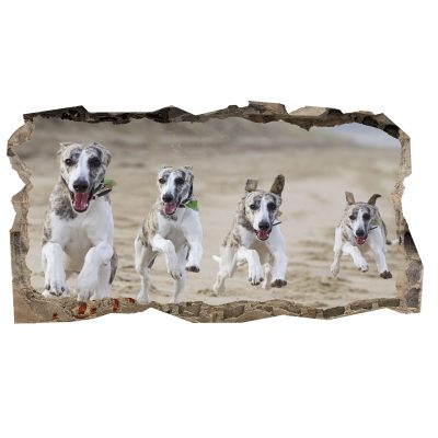 3D Mural Wall Art - Decor Running Dogs Amazing