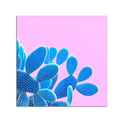 Plexiglass Wall Art - Blue Cactus on Pink Decor 60 x 60 CM