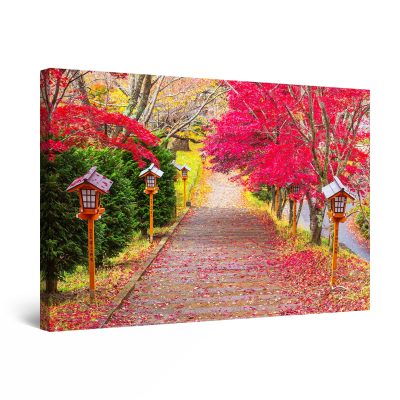 Canvas Wall Art - Red Alley in PARC