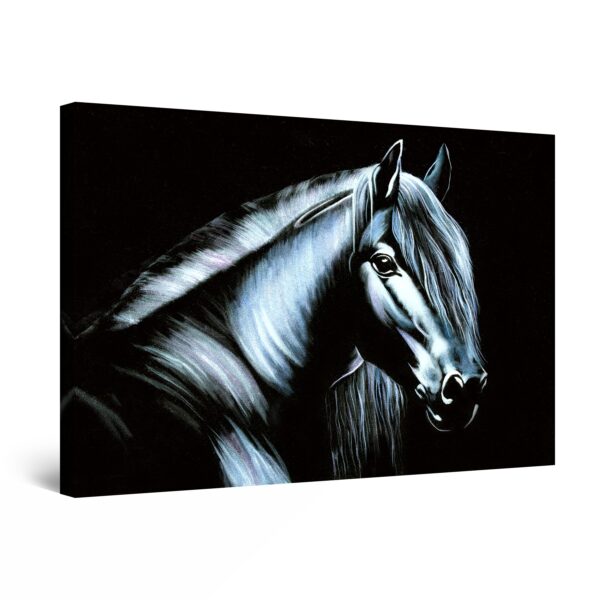 Canvas Wall Art - Black Beauty Horse
