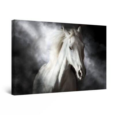 Canvas Wall Art - Precious White Horse