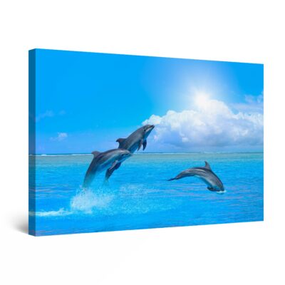 Canvas Wall Art - Three Dolphins