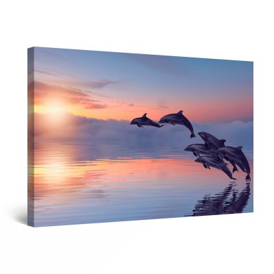 Canvas Wall Art - Dolphin Family