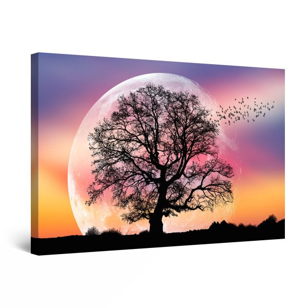 Canvas Wall Art - Flying from the Tree