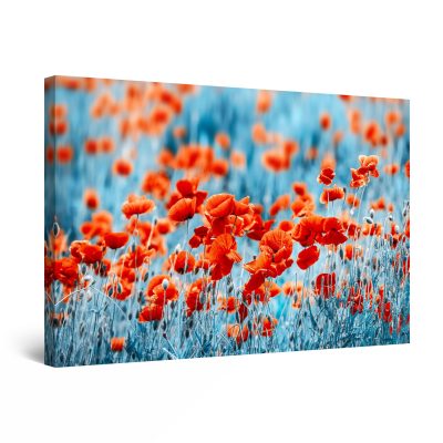 Canvas Wall Art - Red Blue Poppies