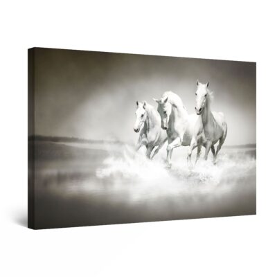 Canvas Wall Art - Horses on the Run